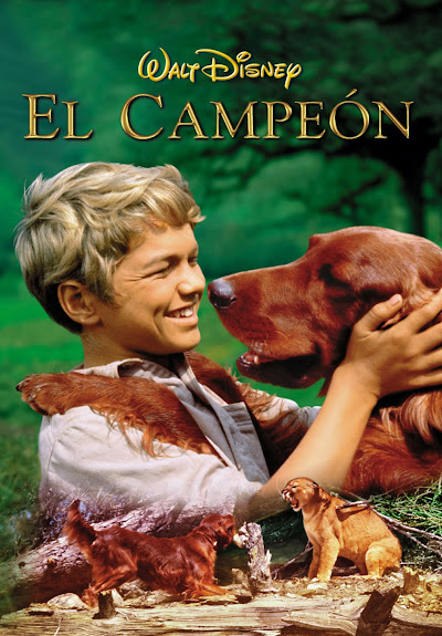 Descargar app El Campeón disponible para descarga