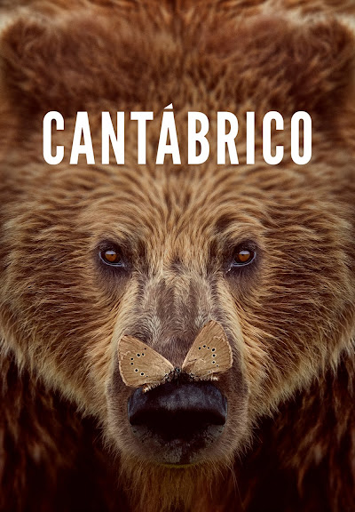 Descargar app Cantábrico disponible para descarga