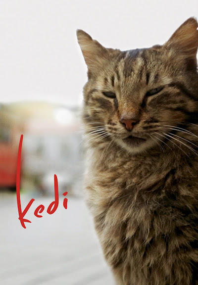 Kedi (gatos De Estambul) (vos)