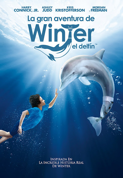 La Gran Aventura De Winter El Delfin